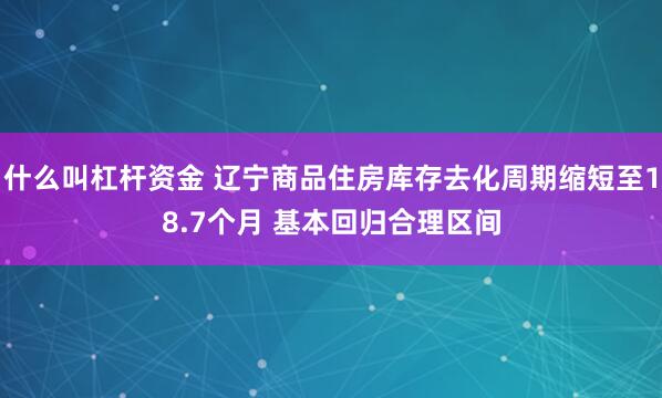 什么叫杠杆资金 辽宁商品住房库存去化周期缩短至18.7个月 基本回归合理区间
