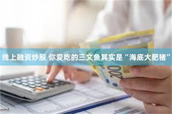 线上融资炒股 你爱吃的三文鱼其实是“海底大肥猪”
