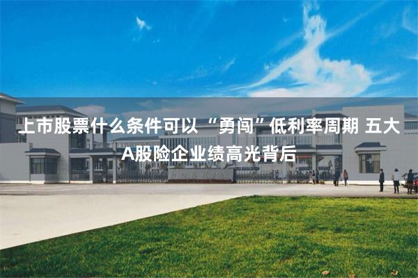 上市股票什么条件可以 “勇闯”低利率周期 五大A股险企业绩高光背后