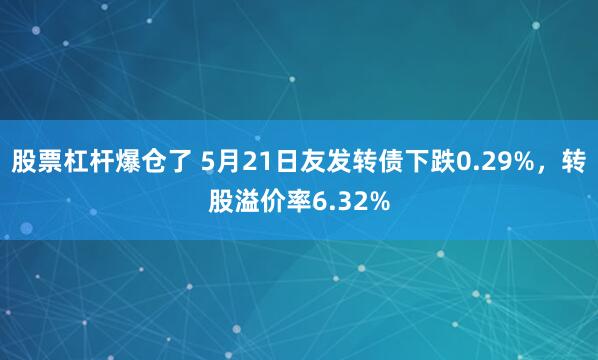 股票杠杆爆仓了 5月21日友发转债下跌0.29%，转股溢价率6.32%