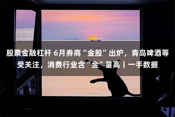 股票金融杠杆 6月券商“金股”出炉，青岛啤酒等受关注，消费行业含“金”量高丨一手数据
