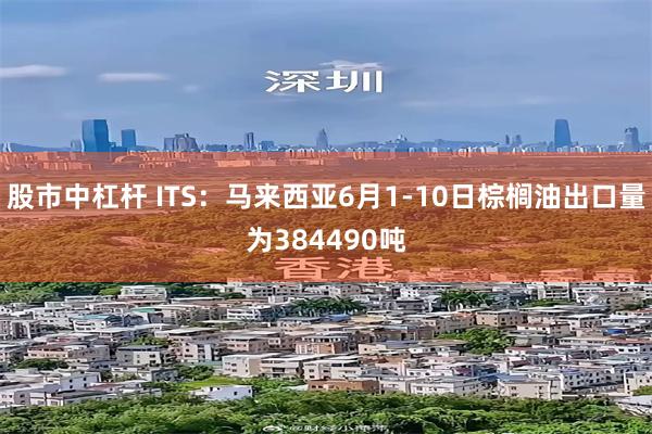 股市中杠杆 ITS：马来西亚6月1-10日棕榈油出口量为384490吨
