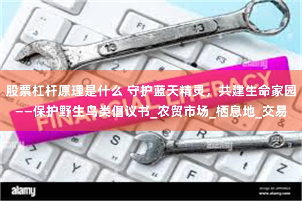 股票杠杆原理是什么 守护蓝天精灵，共建生命家园——保护野生鸟类倡议书_农贸市场_栖息地_交易