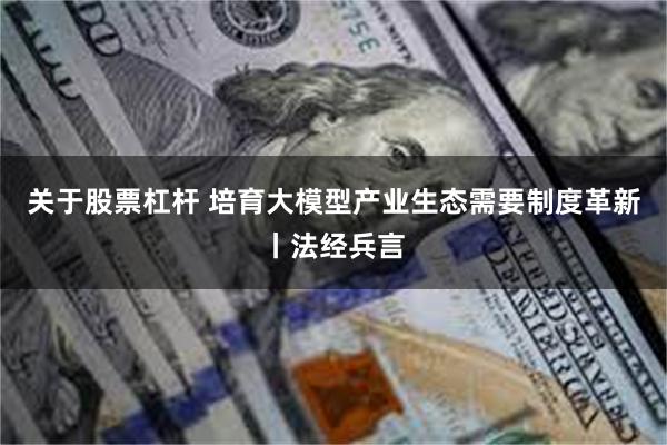 关于股票杠杆 培育大模型产业生态需要制度革新丨法经兵言