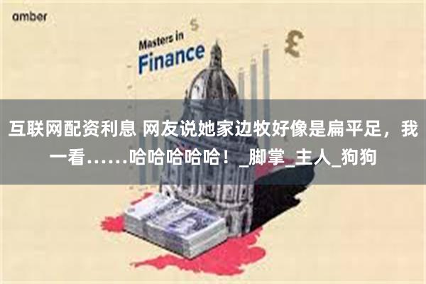 互联网配资利息 网友说她家边牧好像是扁平足，我一看……哈哈哈哈哈！_脚掌_主人_狗狗