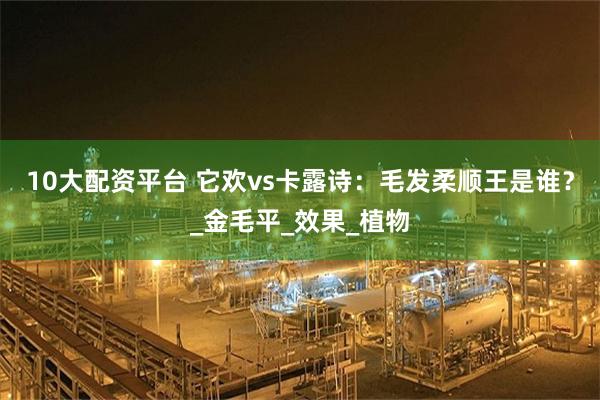 10大配资平台 它欢vs卡露诗：毛发柔顺王是谁？_金毛平_效果_植物