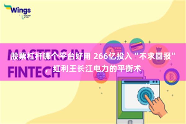 股票杠杆哪个平台好用 266亿投入“不求回报”，红利王长江电力的平衡术