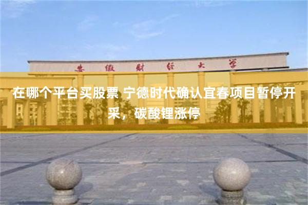 在哪个平台买股票 宁德时代确认宜春项目暂停开采，碳酸锂涨停