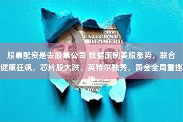 股票配资是去股票公司 数据压制美股涨势，联合健康狂飙，芯片股大跌、英特尔独秀，黄金全周重挫